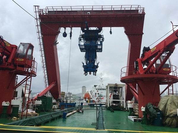 1531273398598615.jpg 2.jpg